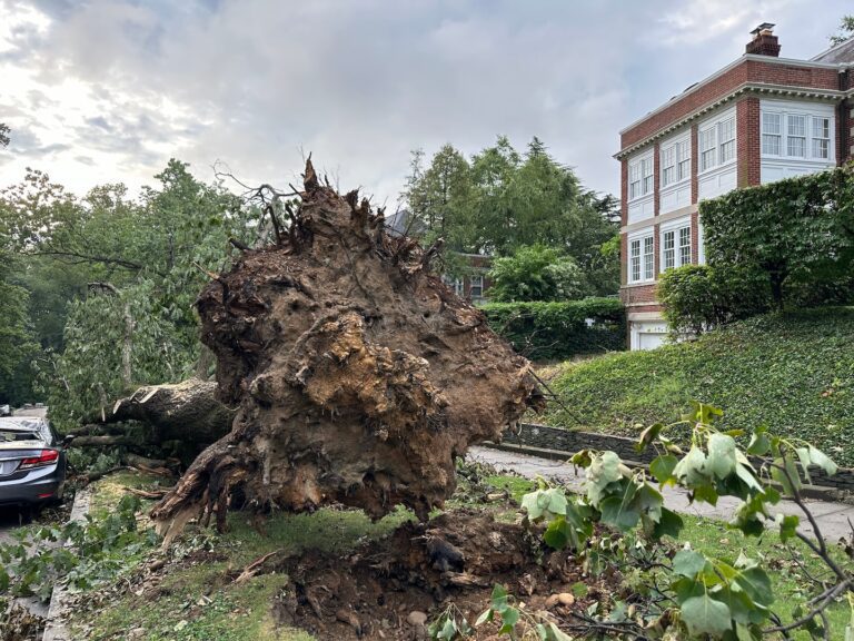 Active Severe Weather Will Affect The Midwest, Northeast