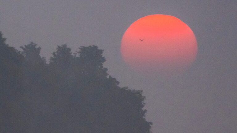 New Report Describes Climate Change Impacts In Wisconsin, Midwest