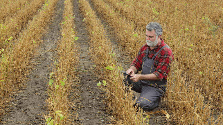 What's Causing The Midwest's Severe Drought? // Show Me Mizzou