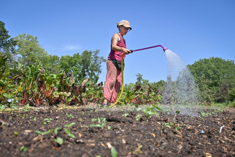 Composting Businesses Spring Up In The Midwest: Many Cities Unprepared