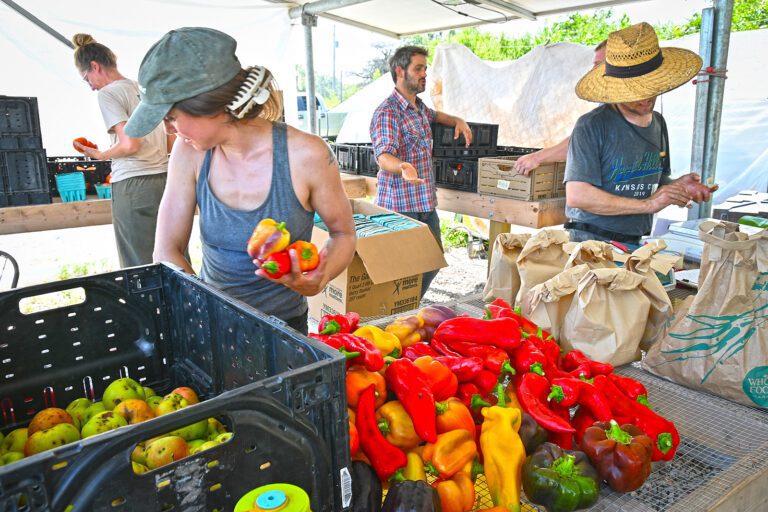 Composting Businesses Springing Up Across The Midwest