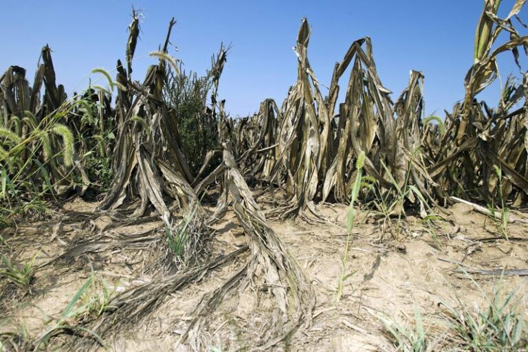 Drought Intensifies In Midwest, Affecting Ag And Shipping