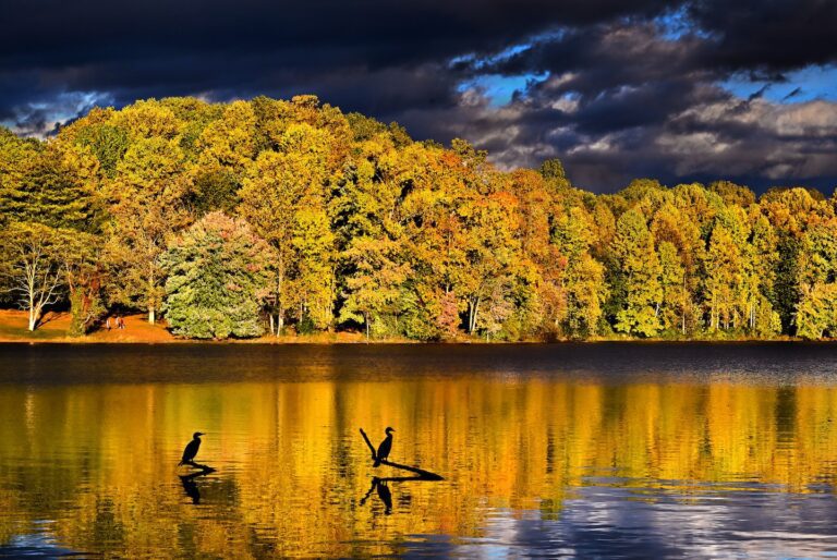 Peak Fall Foliage Extends South Into The Midwest And Into